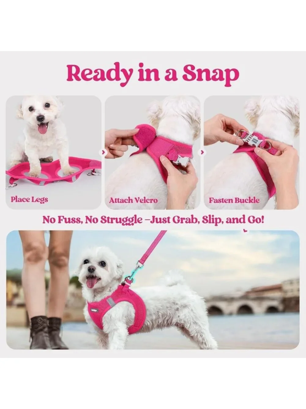 Soft Light Puppy Vest Harness & Leash Set, Breathable Mesh, Reflective, Small